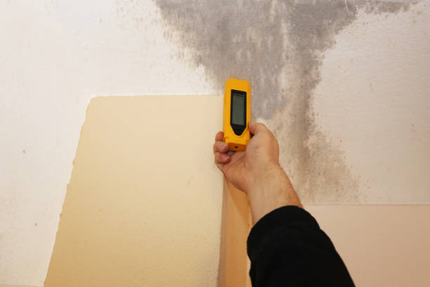 Best HVAC Mold Inspection and Cleaning  in Towanda, PA