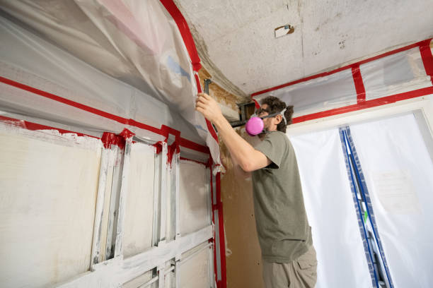 Best Airborne Mold Testing  in Towanda, PA